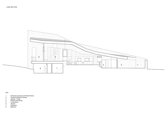 Stonecrop4062Featherstone YoungDrawing4700pixjpg