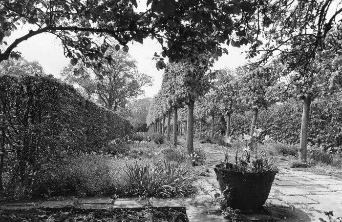 RIBA25746 1jpg