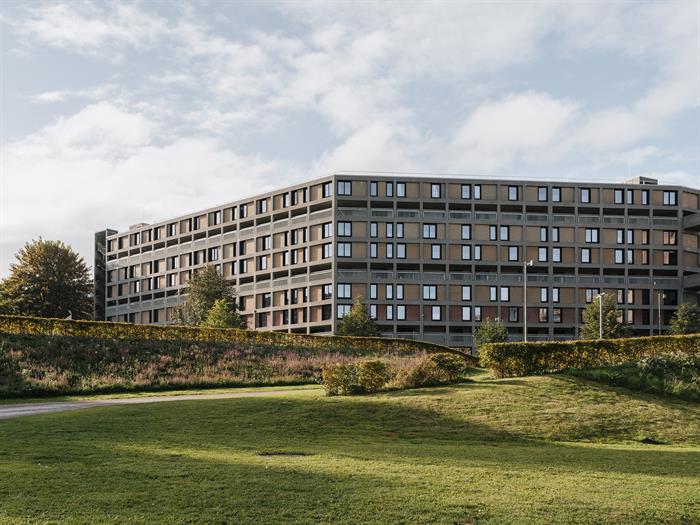 Park Hill Phase 2Tim CrockerWEBIMAGE5jpg