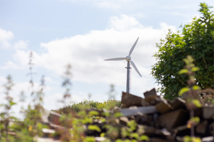 Mount Pleasant Eco Park Horizon with Windmilljpg Windmill at Mount Pleasant Park