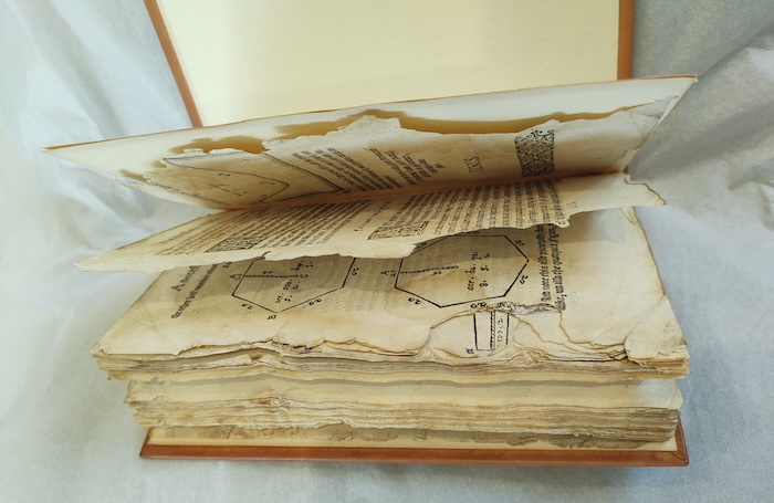 Pre treatment rare book half openjpg