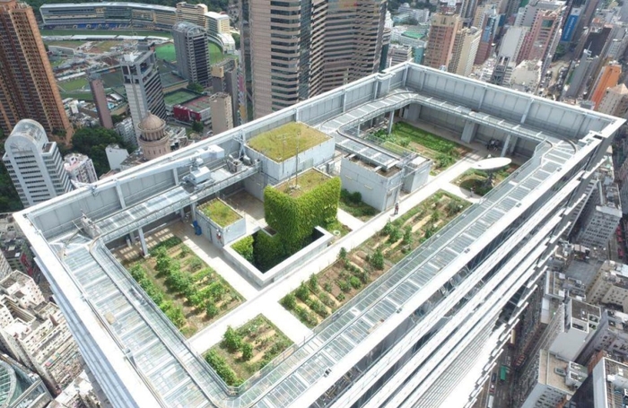 Roof top farm at Hysan Place Causeway Bay Hong Kong c South China Morning Post The University of Hon
