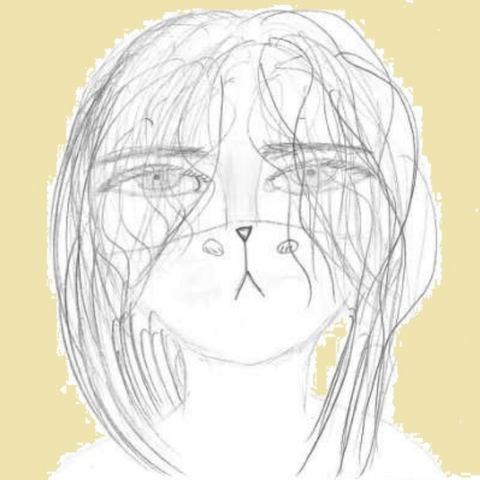 Thehomeswebuildimage2png