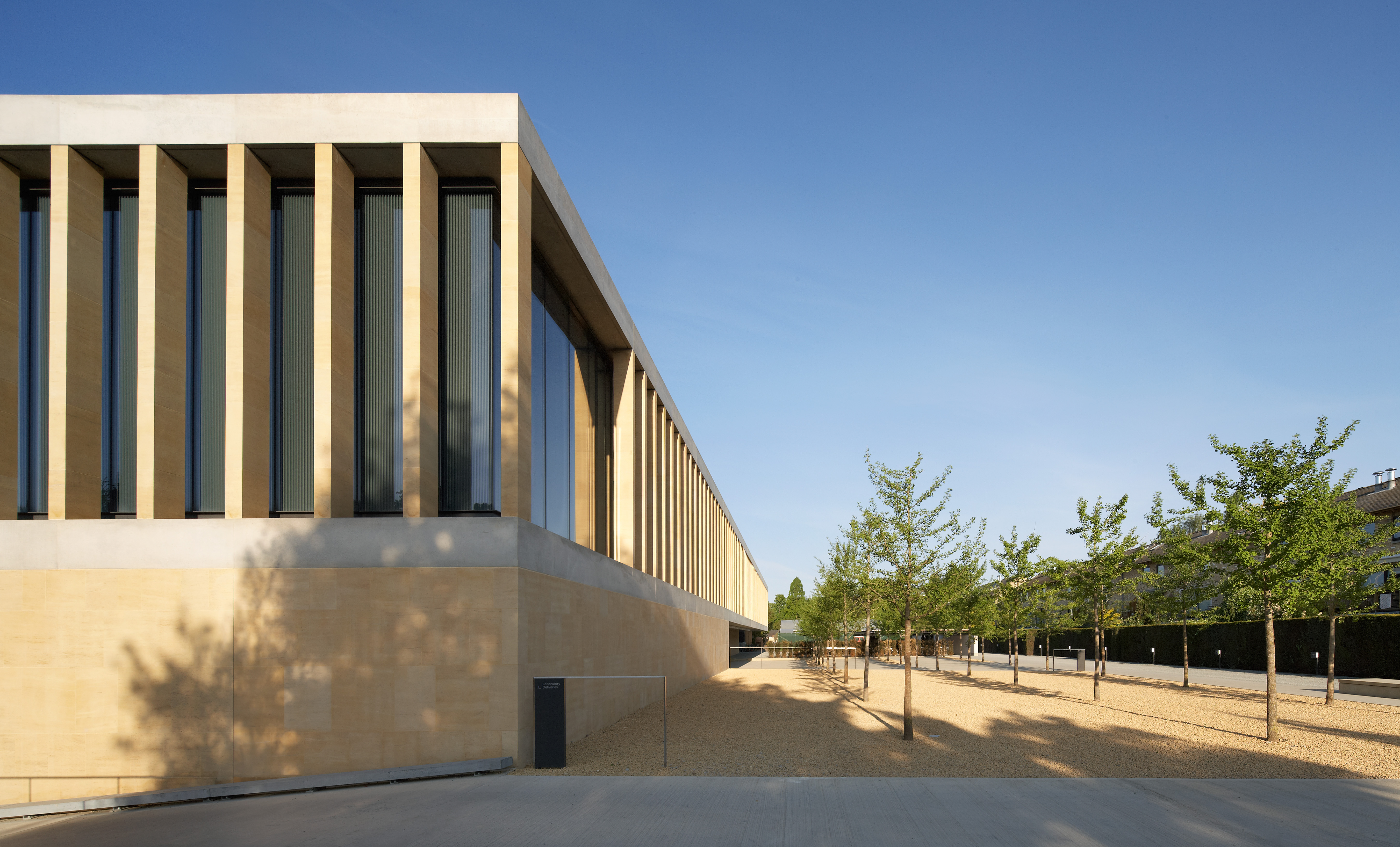 SainsburyLaboratory01HuftonCrowjpg
